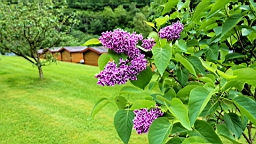 2017-06-13- (139).JPG