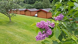 2017-06-13- (142).JPG