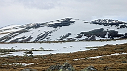 2017-06-13- (32).JPG