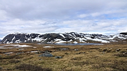 2017-06-13- (33).JPG
