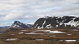 2017-06-13- (35).JPG