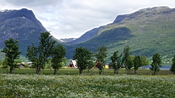 2017-06-13- (48).JPG