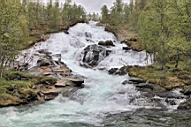 2017-06-13- (66).JPG