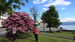 2017-06-14- (48).JPG