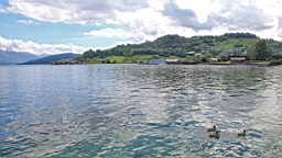 2017-06-14- (57).JPG