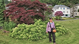 2017-06-14- (67).JPG