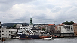 2017-06-15_ (101).JPG