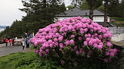 2017-06-15_ (24).JPG