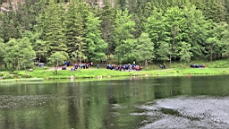 2017-06-15_ (42).JPG