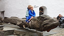 2017-06-15_ (87).JPG