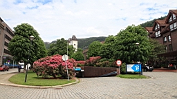 2017-06-15_ (95).JPG