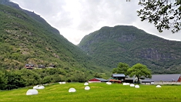 2017-06-16- (20).JPG