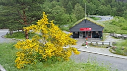 2017-06-18- (21).JPG