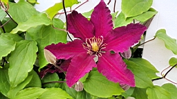 2017-06-20- (054).JPG