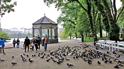2017-06-20- (086).JPG