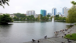 2017-06-20- (087).JPG
