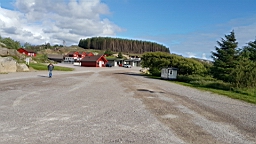 2017-06-20-  (117).JPG