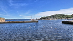 2017-06-21- (31).JPG