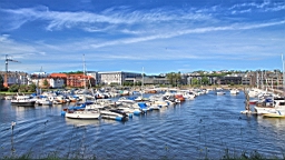 2017-06-21- (40).JPG