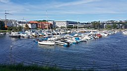 2017-06-21- (42).JPG