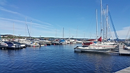 2017-06-21- (52).JPG