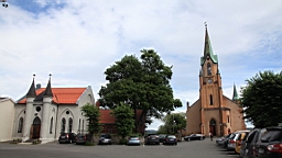 2017-06-22- (52).JPG