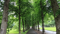 2017-06-23- (126).JPG