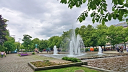 2017-06-23- (56).JPG