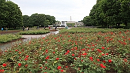 2017-06-23- (73).JPG