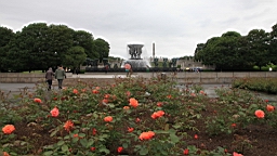 2017-06-23- (74).JPG
