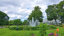 2017-06-24- (37).JPG