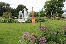 2017-06-24- (43).JPG
