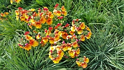2017-06-24- (46).JPG