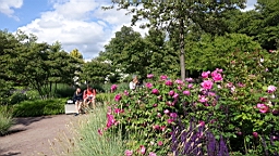 2017-06-24- (50).JPG