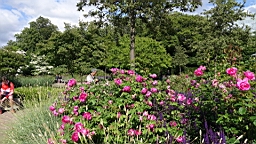 2017-06-24- (51).JPG