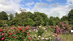 2017-06-24- (53).JPG