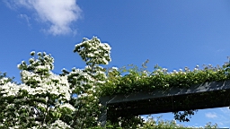 2017-06-24- (56).JPG