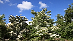 2017-06-24- (60).JPG