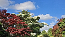 2017-06-24- (62).JPG