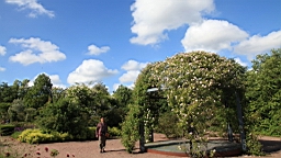 2017-06-24- (64).JPG