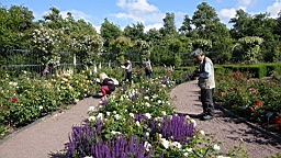 2017-06-24- (65).JPG