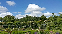 2017-06-24- (67).JPG