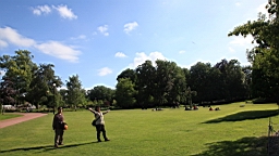 2017-06-24- (83).JPG