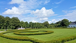 2017-06-25- (105).JPG