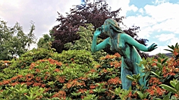 2017-06-26- (131).JPG