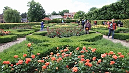 2017-06-26- (145).JPG