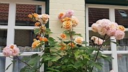 2017-06-28- (126).JPG