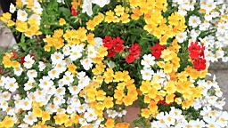 2017-06-28- (163).JPG