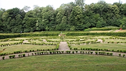 2017-06-28- (33).JPG