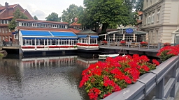 2017-06-29- (107).JPG
